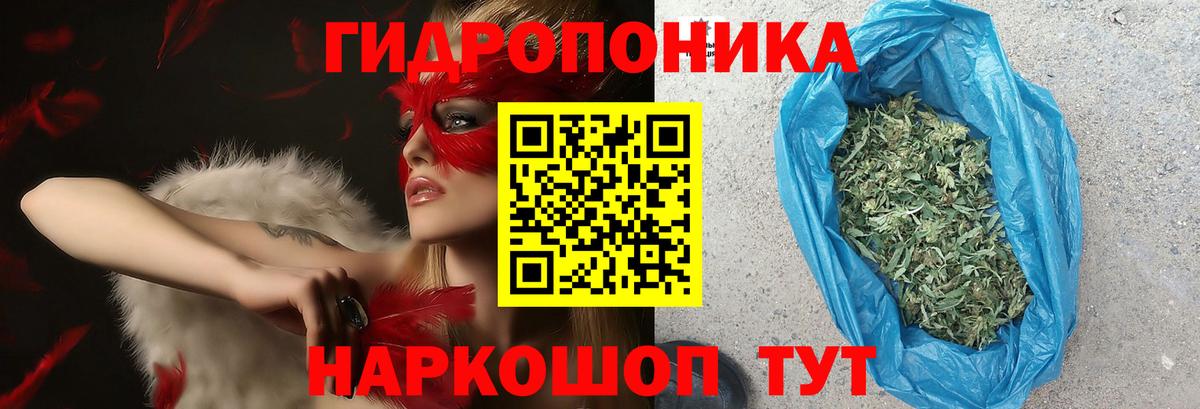 Бошки марихуана SATIVA & INDICA  Бошки Шишки ГИДРОПОН  Алексеевка  Канабис MAZAR  Вход с VPN  Марихуана тримм 